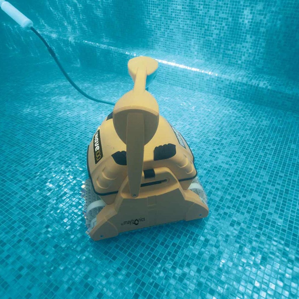 Dolphin Wave 100 met combiborstels