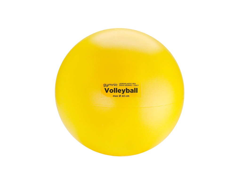 Volleyball deflated 220gr