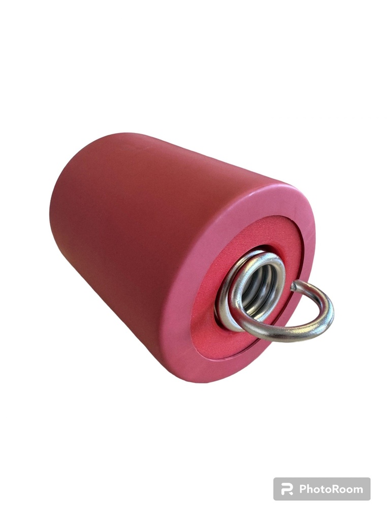 Protection for spring