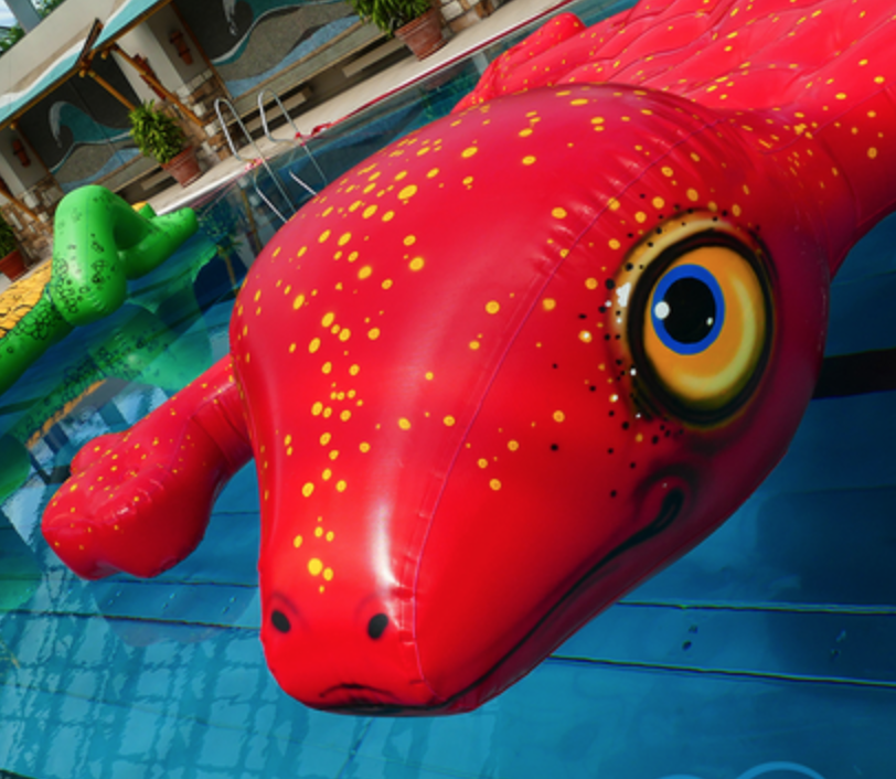 Salamander